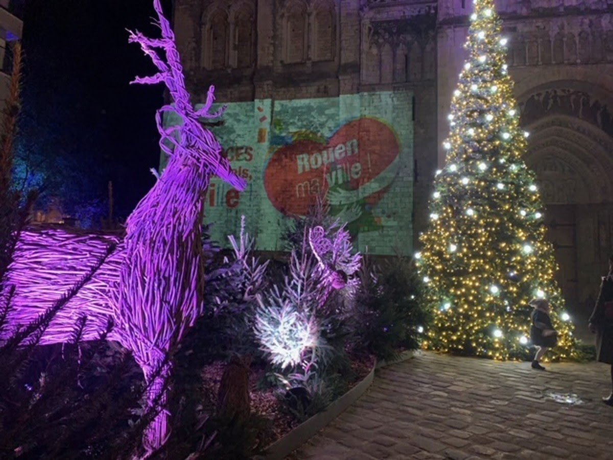 Vitrines de Rouen tweet media