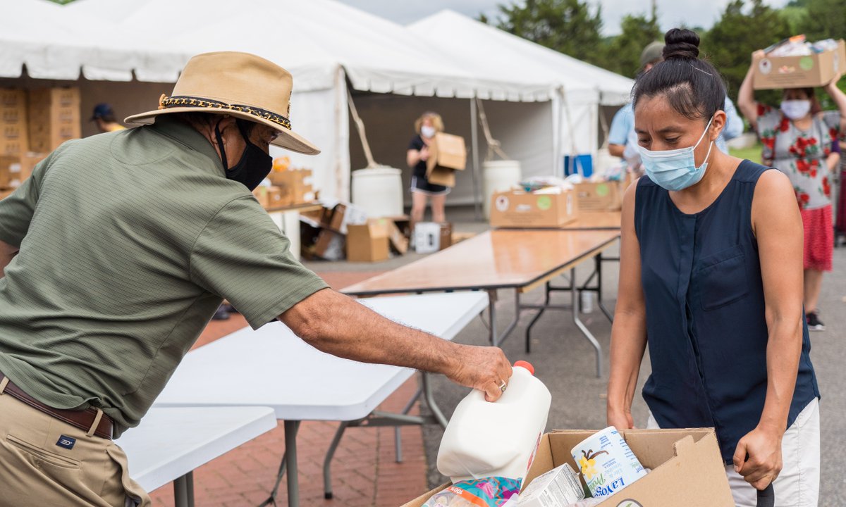 A person filling up a grocery box to give to someone