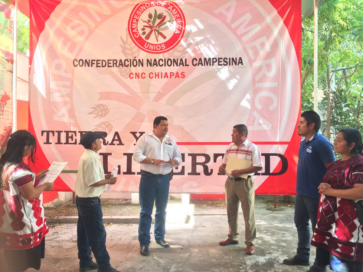 Odilon_RS's tweet photo. Felicidades al lider municipal de la CNC Chalchihuitan Antonio Garcia Perez y a nuestra Secretaria de Finanzas Martha Perez Garcia, hoy se les dio nombramiento ya que fueron electos mediante Usos y Costumbres de su comunidad @hernandezderas 
#SomosCNC
#SomosPRI
#JuntosPodemos https://t.co/iw6tsfGNQi
