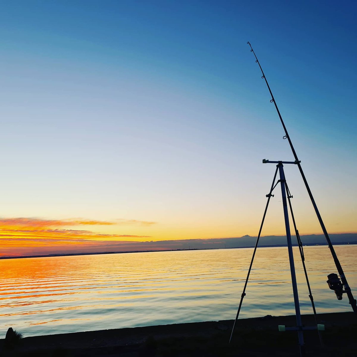 TanksTravel's tweet photo. 🎣 👌 https://t.co/QDLZmHlrlY