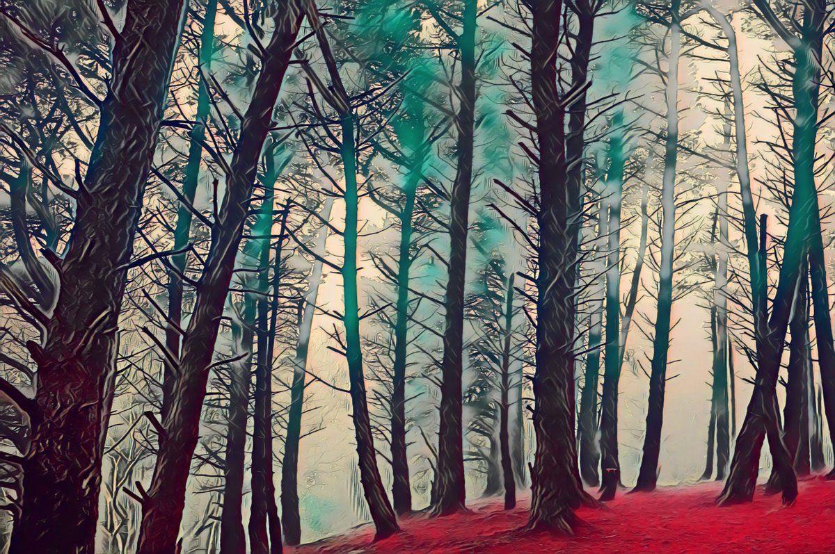 shaymurphyphoto's tweet image. Being limited to 5km, it means more #photoshop #neuralfilter testing.