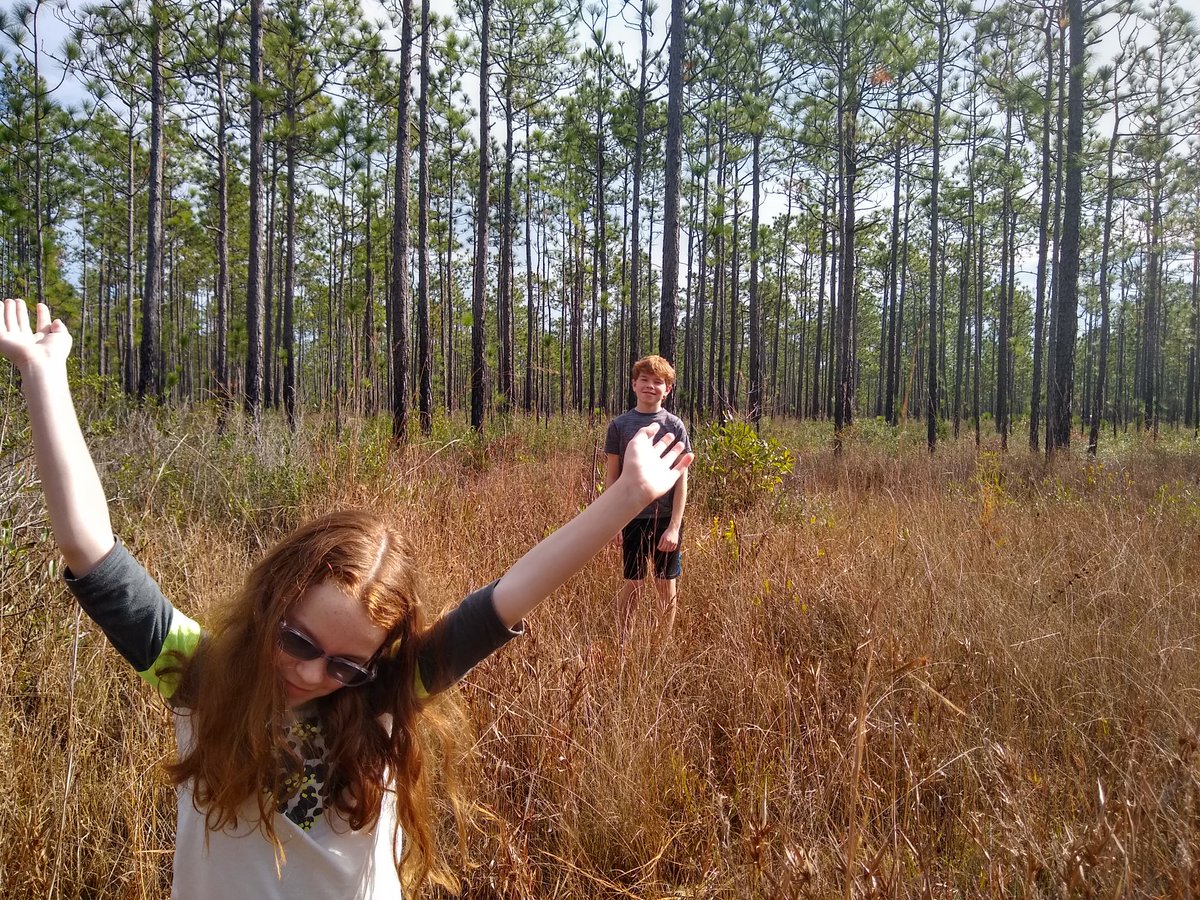 Tim Callahan tweet media