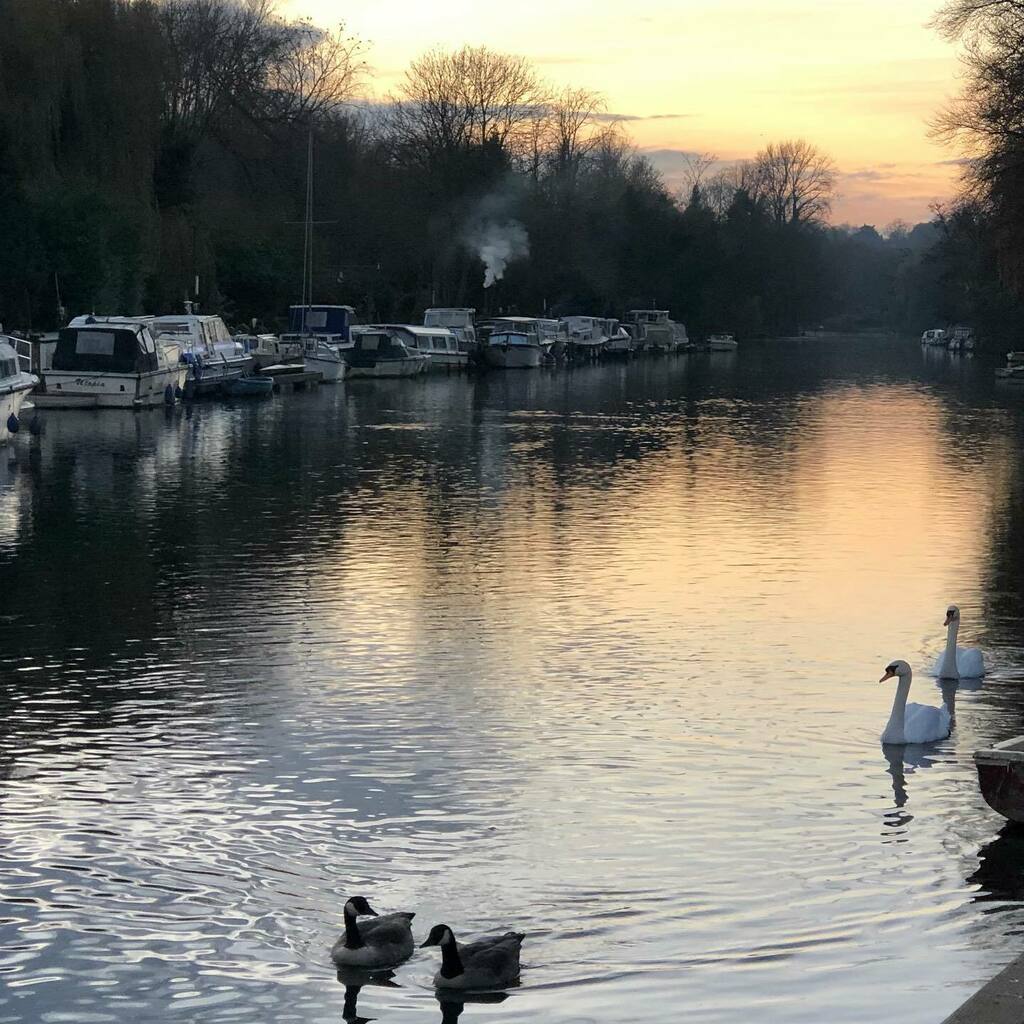 jobhopjulie's tweet photo. A cold grey afternoon by the river ... no grey filter added, this is how grey it really is!
.
.
#winter #grey #wintergrey #autumn #autumngrey #thorpestandrew #norwich #norfolk #rivergreen #cold #greyweather https://t.co/btuWgiCIdB https://t.co/UlJ1XbklCf