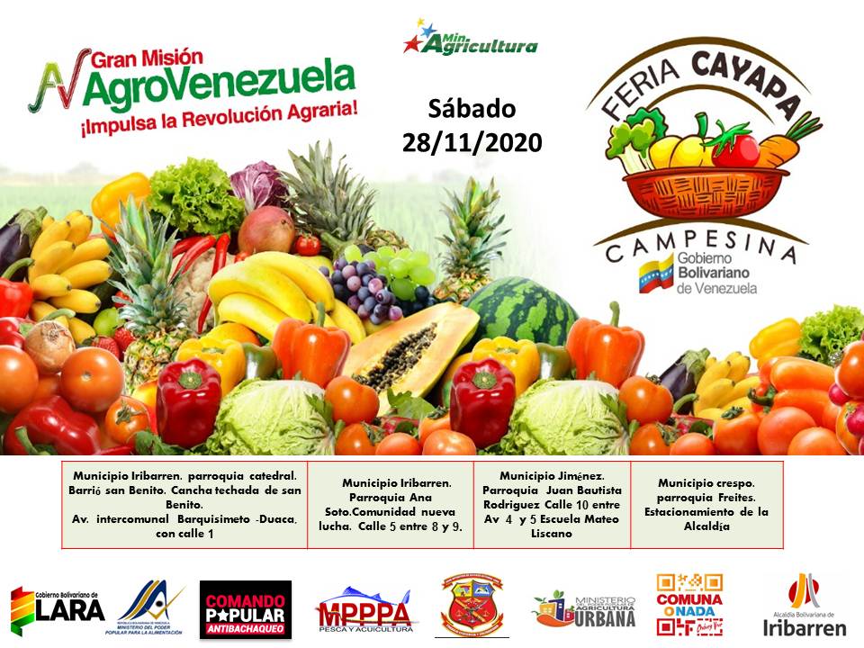 FONDAS Lara tweet media