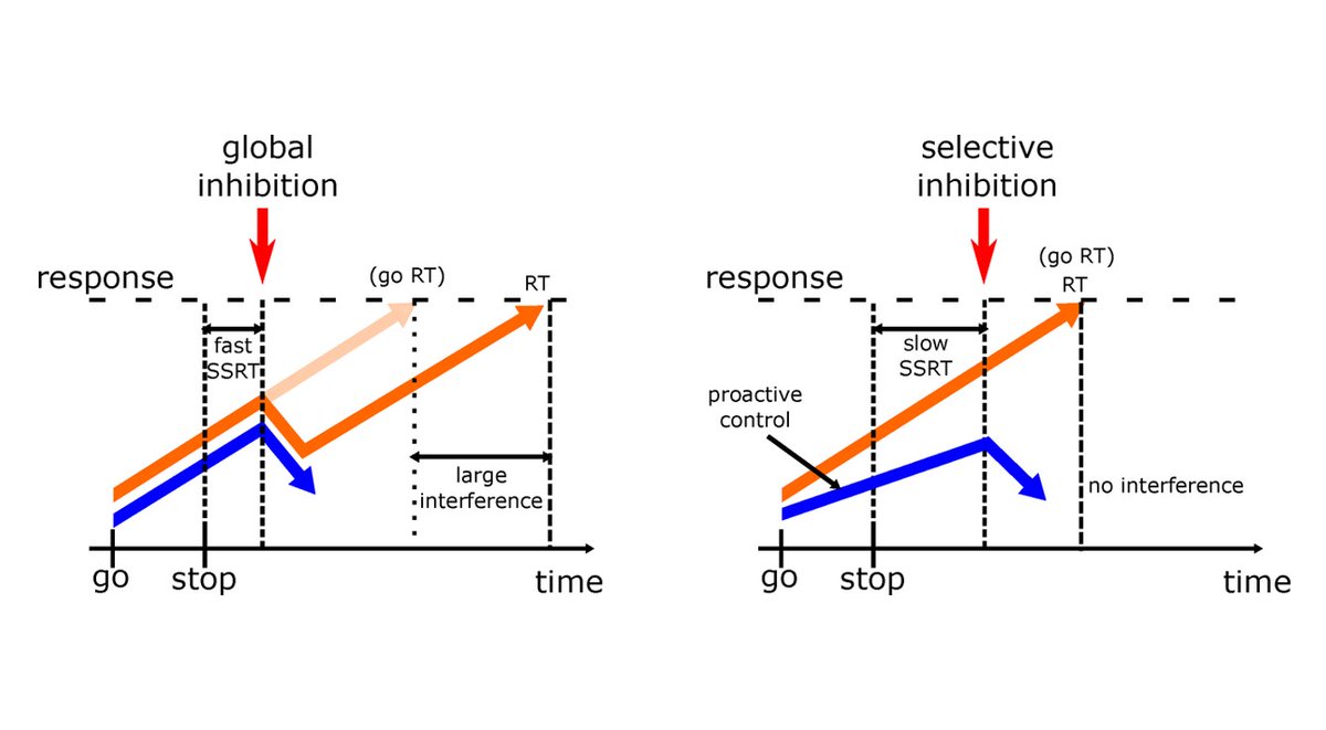 SfNJournals's tweet photo. New #JNeurosci research from @Greenhouse_Lab et al. examines global &amp; selective response inhibition in flexible movement control, indicating use of a single global stop mechanism even if selective stopping of a subset of responsive movements is required.

https://t.co/ETS6CJasDd https://t.co/g9xh8QJ4Pe