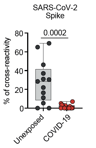 Furthermore, if you look at  #SARSCoV2 spike-reactive cells in  #COVID19 patients, they show virtually no cross-reactivity to common cold CoV spike. 8/12
