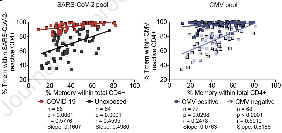If the cross-reactive T cells aren’t specific for common cold CoVs, where did they come from? Interestingly the % of these cells correlated with the % memory within the CD4+ population – in other words the “immunological experience” of the donor. 9/12
