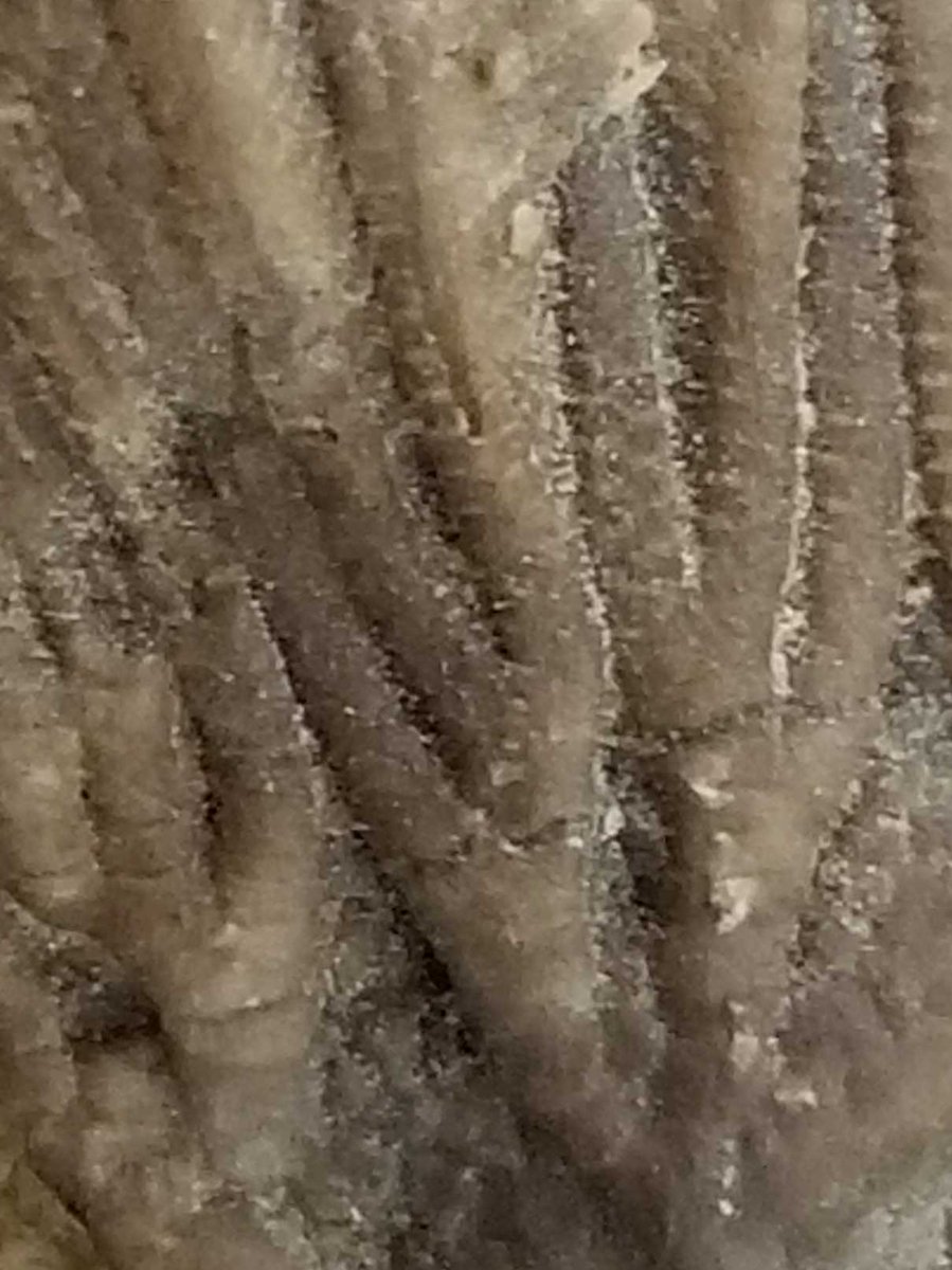 VLMuseum's tweet photo. This may resemble something on land, but is that really what it is? Find out the answer to this mystery tomorrow! #valivingmuseum #museumfromhome #VLMMystery https://t.co/oLypivp6sf