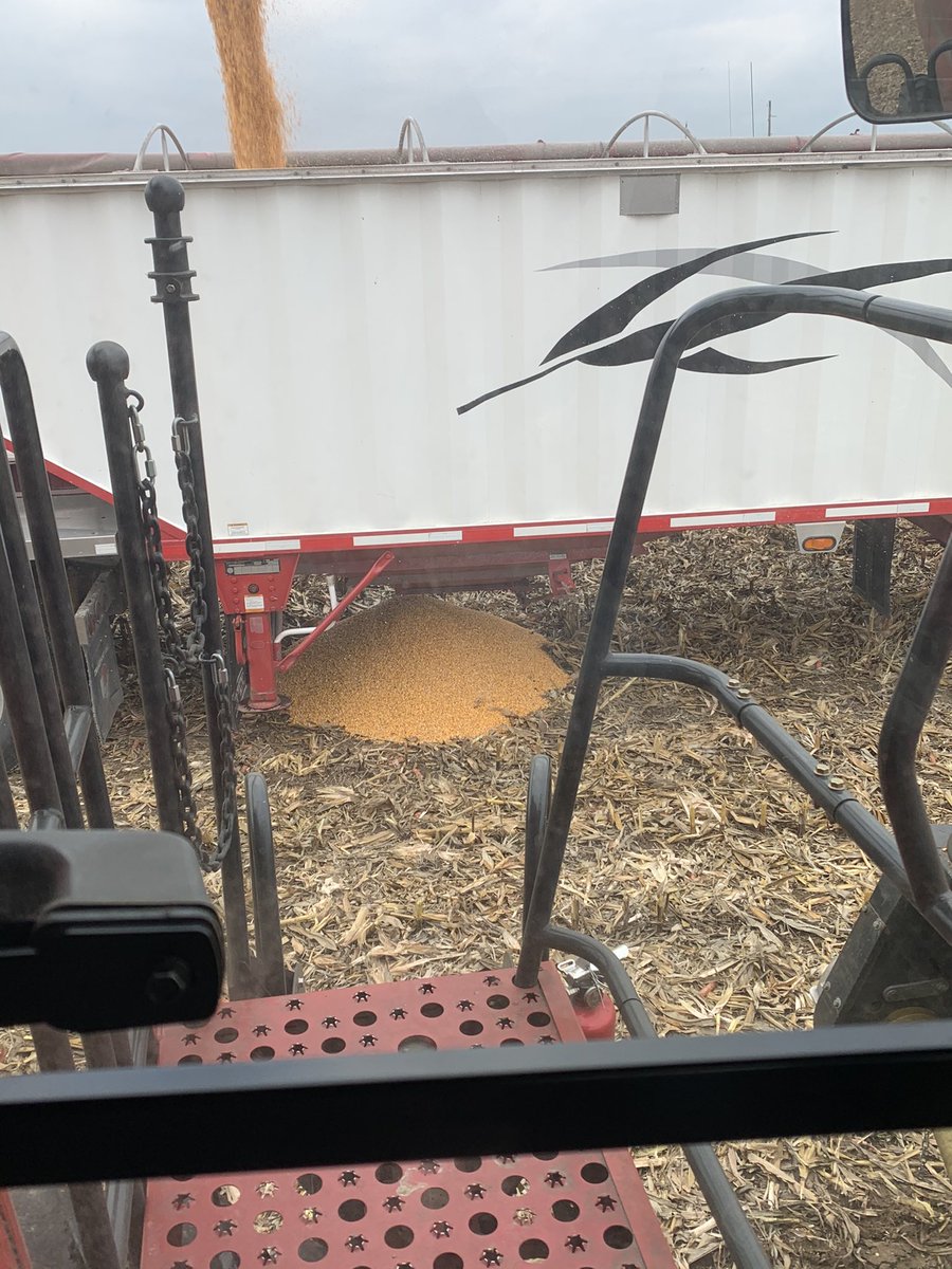 Mike Pasztor 🌽🌱🌾🐂🐷🥒🌶 tweet media