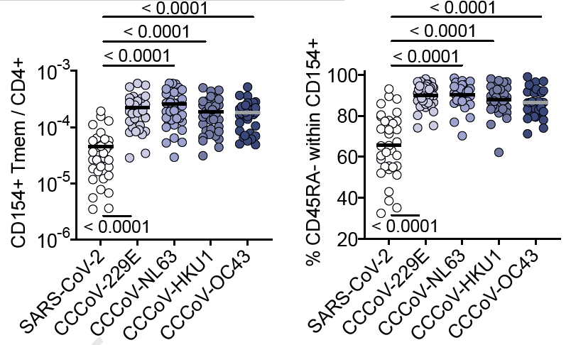 This study finds that *all* healthy donors have T cells reactive to common cold coronaviruses. The frequencies of these cells are 10-100 fold higher than the frequencies of  #SARSCoV2 reactive T cells. These common cold CoV-reactive T cells have high functional avidity. 5/12