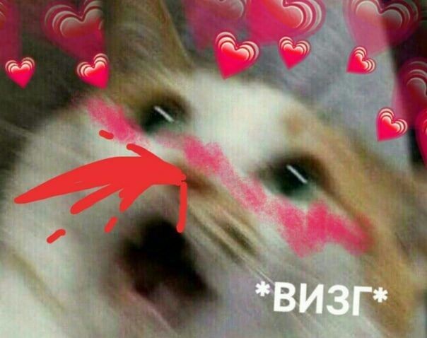 hellxkh's tweet photo. @anyagoncharukkk Вввау!😳 https://t.co/GS6K9g07XA