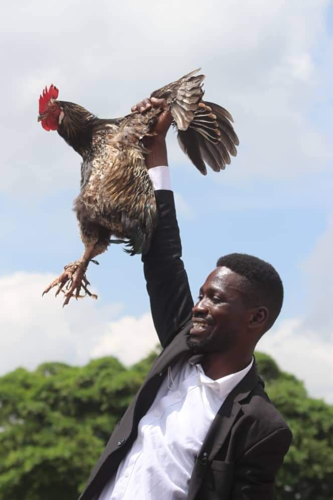 swt_delilah's tweet photo. Before we continue with #ntvmixshow or #NBSKatchup is kyagulanyi and his kyankwanzi cock safe? @dagy_nyce @forever_etania @sheilasalta https://t.co/RpDnN0eoPA