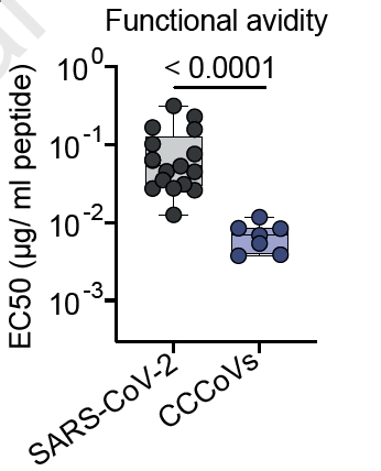 This study finds that *all* healthy donors have T cells reactive to common cold coronaviruses. The frequencies of these cells are 10-100 fold higher than the frequencies of  #SARSCoV2 reactive T cells. These common cold CoV-reactive T cells have high functional avidity. 5/12