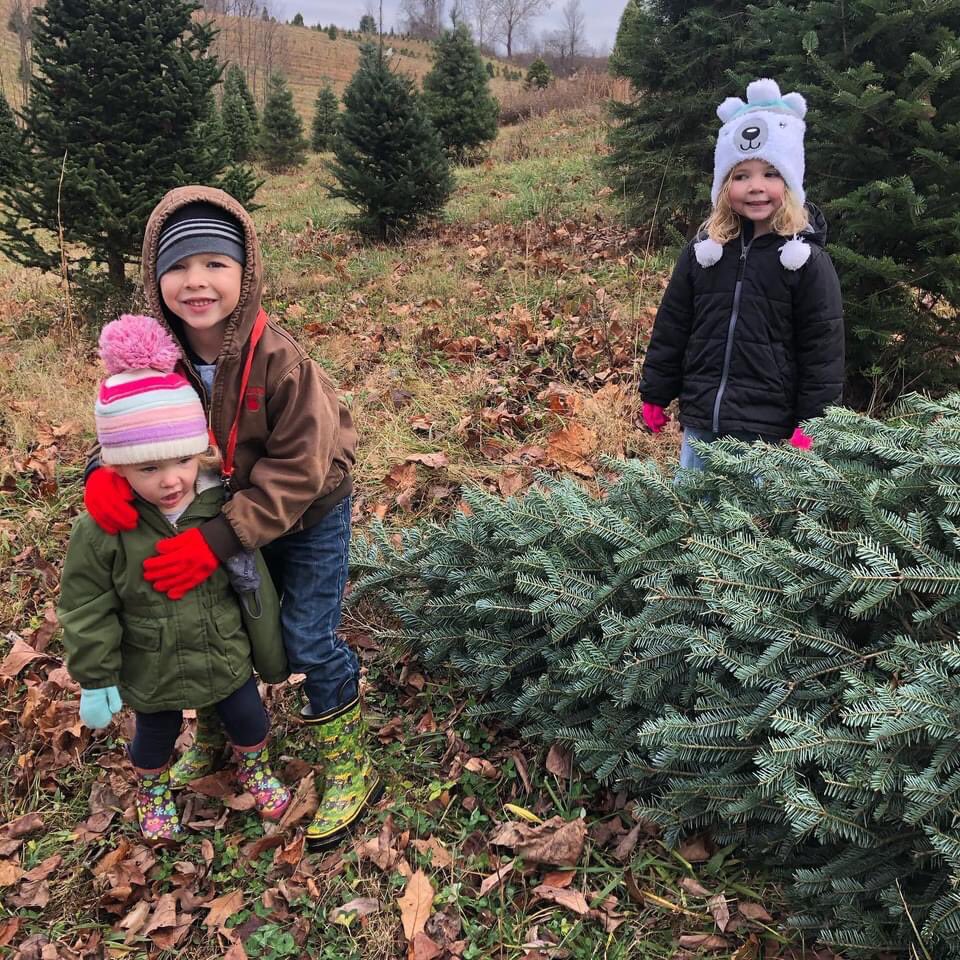 Another perfect tree from Bohman Christmas Tree Farm!