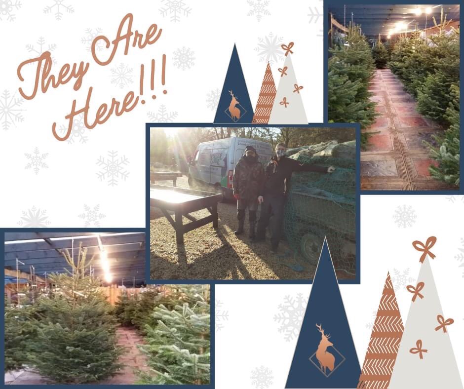 🌲🎄 𝑶𝑼𝑹 𝑪𝑯𝑹𝑰𝑺𝑻𝑴𝑨𝑺 𝑻𝑹𝑬𝑬𝑺 𝑨𝑹𝑬 𝑯𝑬𝑹𝑬! 🎄🌲

The moment we have all been waiting for! Our Christmas Trees have arrived and are ready to view! 🥳 Pop in over the weekend and order yours!