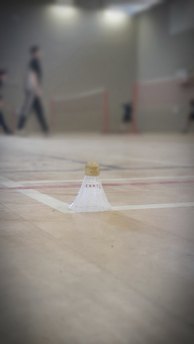 Minster_PE's tweet photo. Some fantastic badminton lessons today for Year 7 and Year 11.
#developingcoordination
#dreambelieveachieve https://t.co/t0kmBAtiVB