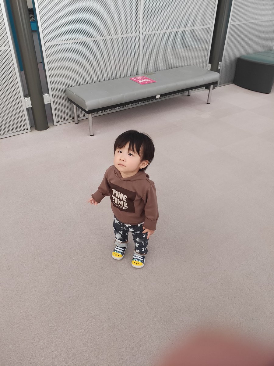 お空を見る息子。何か見えましたか🐼