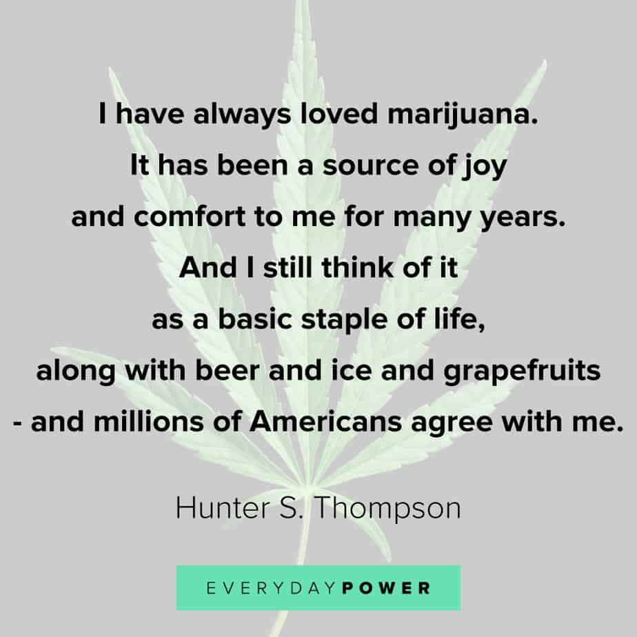 I have always loved marijuana. It has been a source of joy and comfort to me for many years. And I still think of it as a basic staple of life, along with beer and ice and grapefruits #smoke #Vape #health #Weed #indica #Cannabis #kush #marijuana #Kickstarter #shadedco