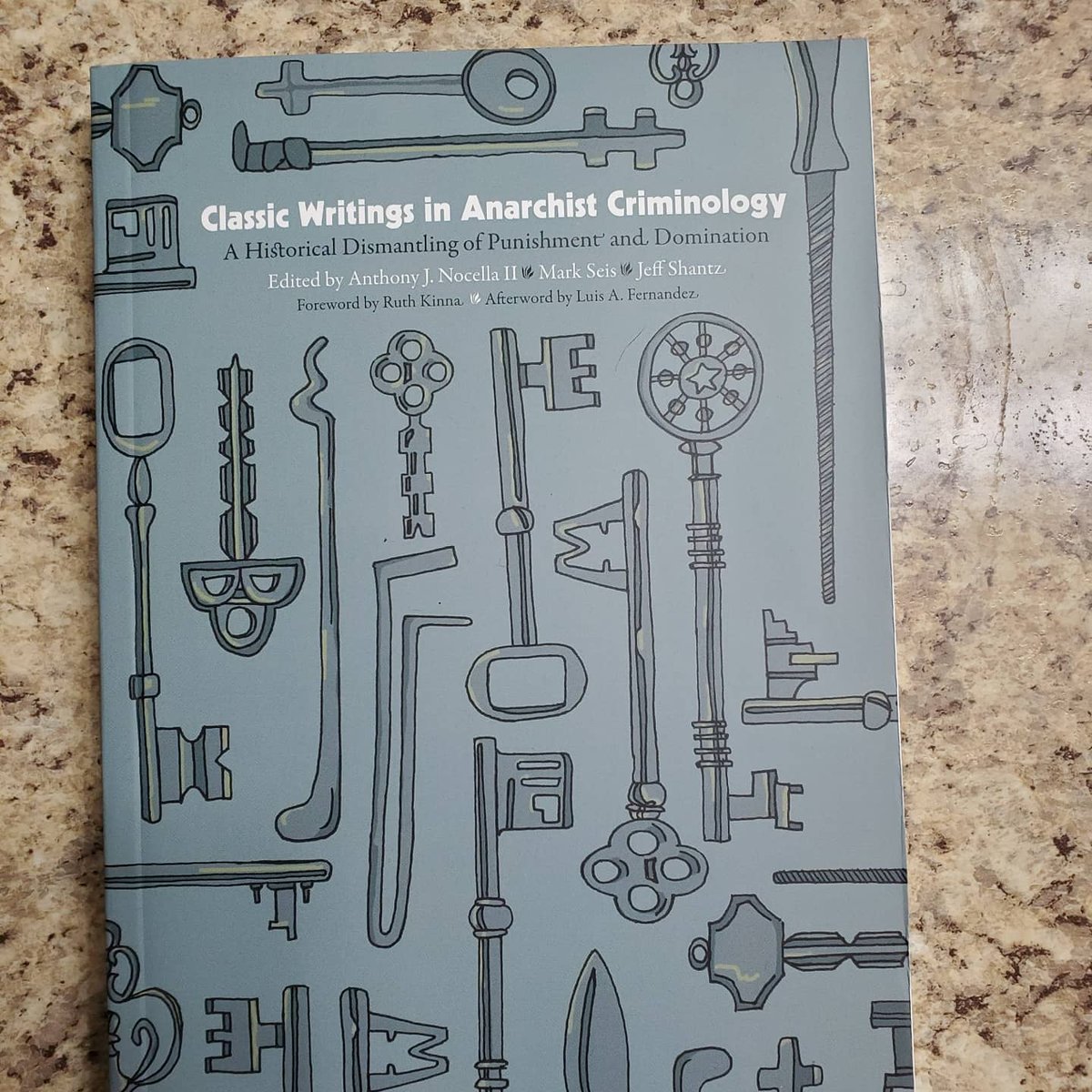 Dr. Anthony J Nocella II Professor Author Activist tweet media