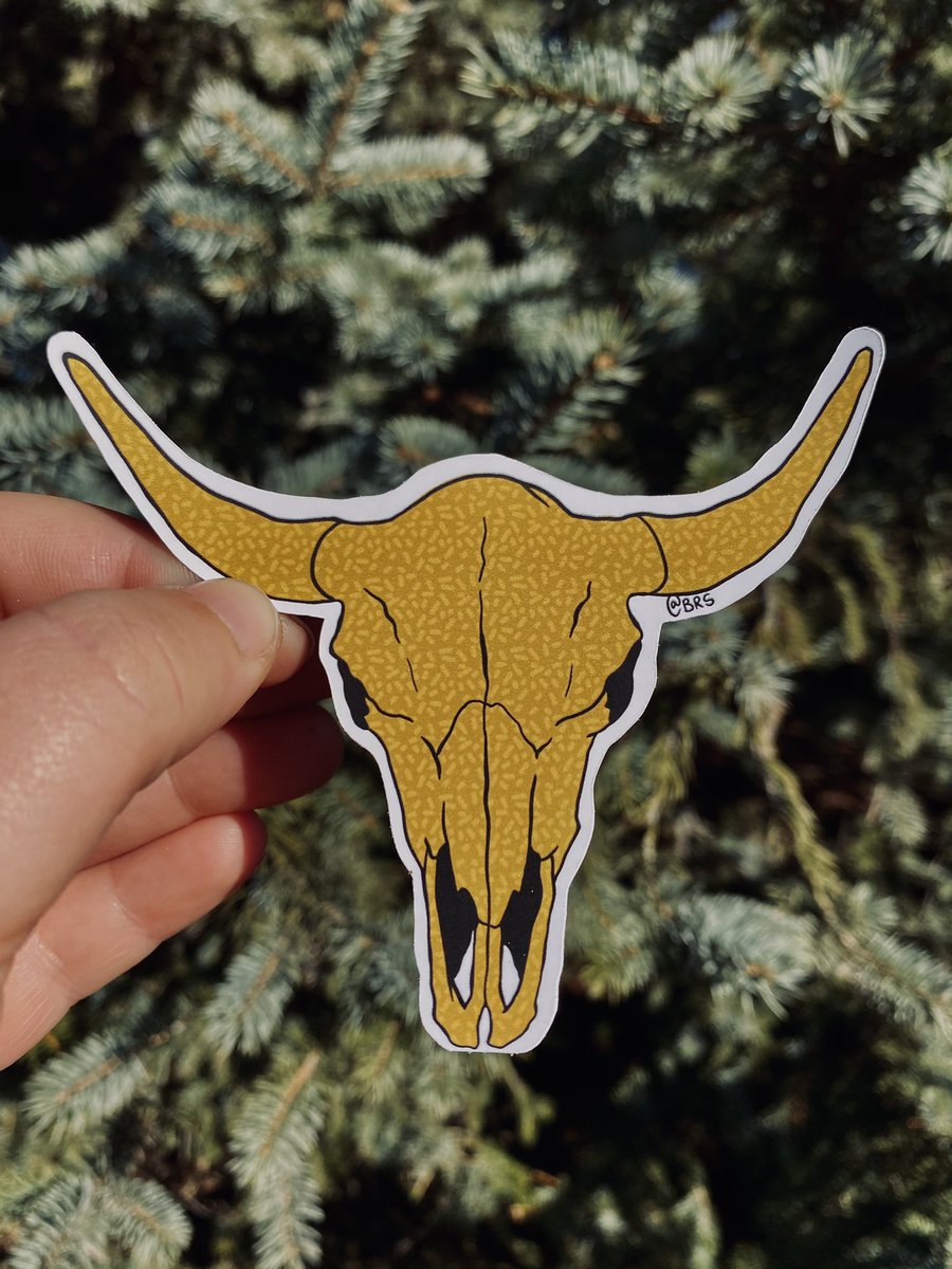 Bison Range Studio tweet media