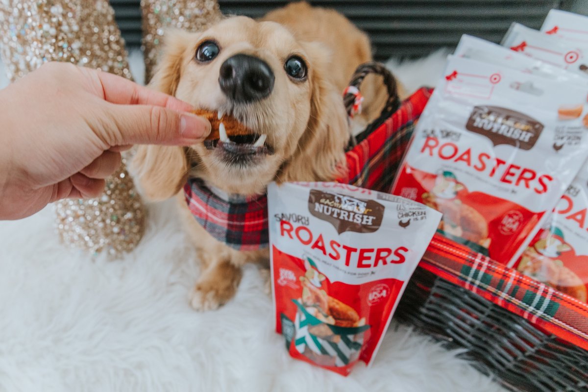 Maya The Dox tweet media