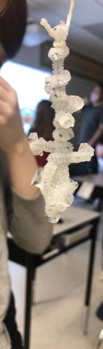 alexandrahasse4's tweet photo. This week we created crystals in our grade 4/5 class @SenBuchanan  while learning about supersaturated solutions! they turned out AWESOME! 🧪 https://t.co/WgYEjs4tVM