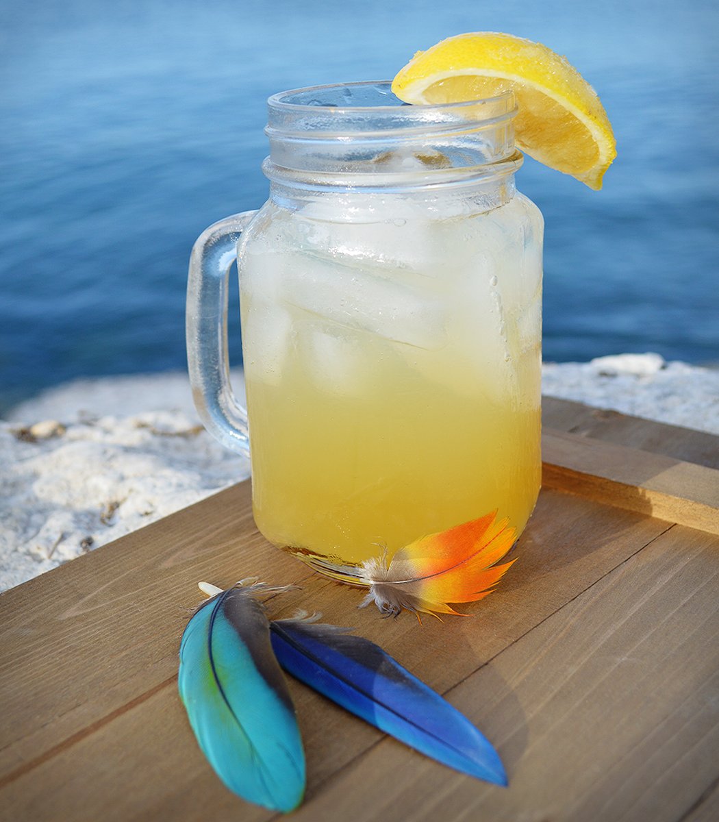 A picture of a yellow drink in a glass mug garnished with a lemon wedge covered in sugar. The drink sits in front of an open body of water, and parrot feathers are scattered in the foreground.