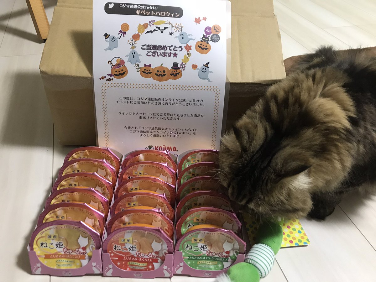 ねこ姫