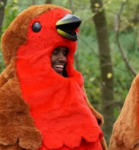 timsenna's tweet photo. The 2nd time Mo Farah has dressed as a Robin on #ImACeleb https://t.co/7gEk9CuMKs