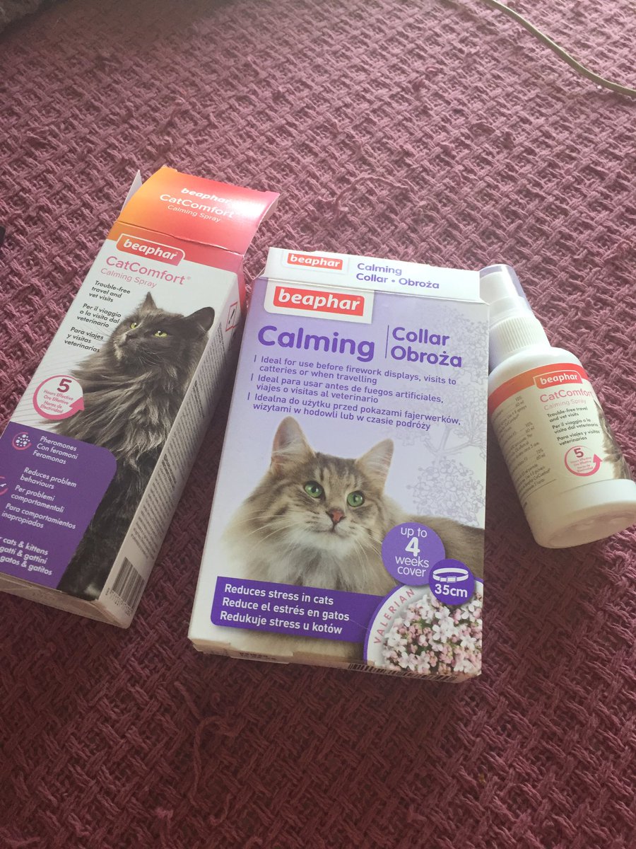 Preparé la casa con feromonas, lavé toda la ropa que llevaba puesta, me llené yo de feromonas y a Ramona le puse un collar de lavanda.
Ni yo invierto tanto en clonazepam, lo juro por mi vida.
*Funcionó y está tranquila 💜 https://t.co/FkDeDLQ0AR