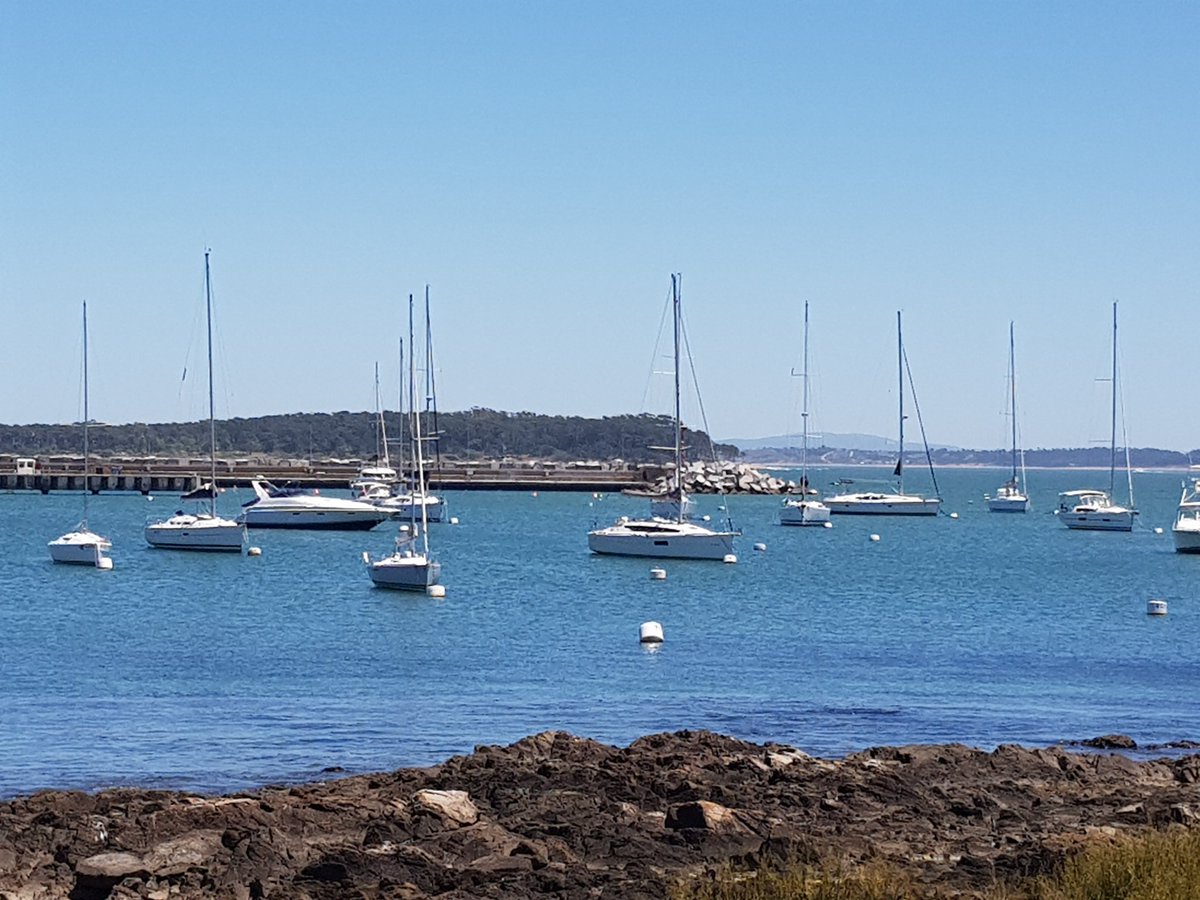 PuntadelEsteS's tweet photo. Sol 🌞 a pleno baña el puerto 🌊⛵️ en vísperas del fin de semana. Otra captura fotográfica de @sosita_1 👍
Primavera 🌸 🍀🌻 🦋🌿🌷 en #PuntadelEste https://t.co/wwnuiX2MaS