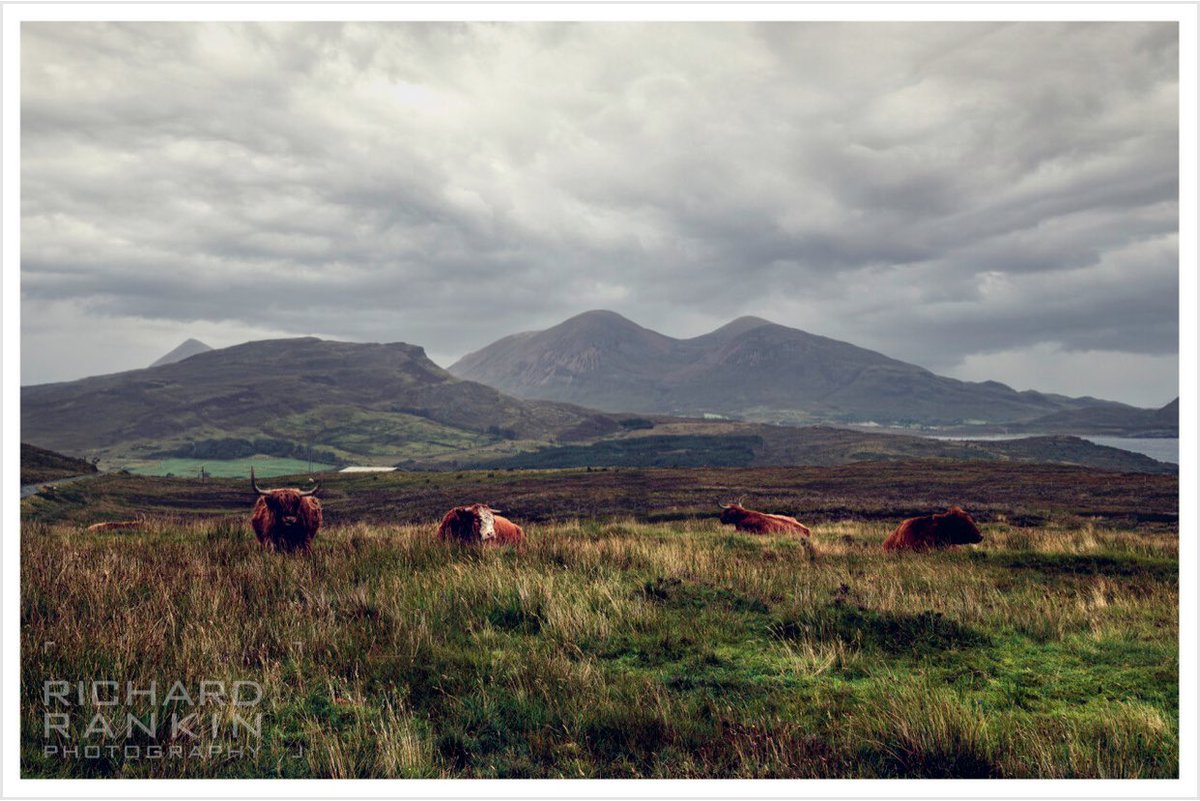 “Well, Dougal isna the man to overlook an opportunity of turning a bit of a profit,” he observed. “We came on a nice bunch of beasts, grazing in a field, and no one about. So …” He shrugged, w a fatalistic acceptance of the inevitabilities of life. Outlander Ch15 @RRankinPhoto