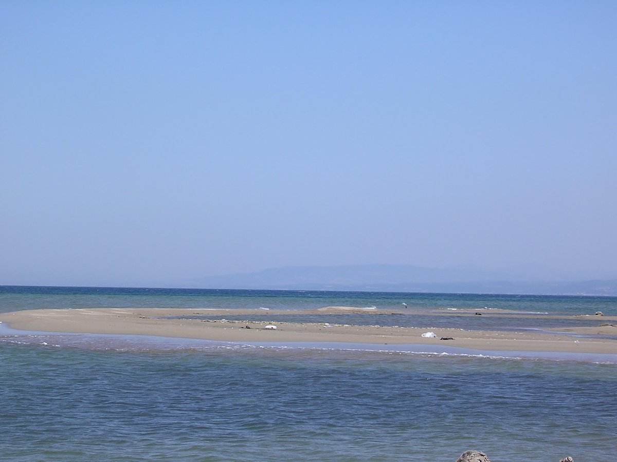 Our cockles lived here: