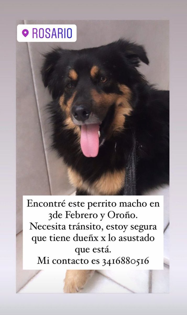Lucía 💚 tweet media