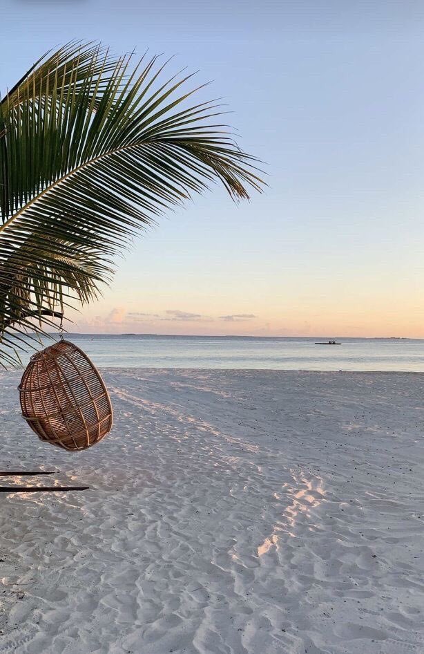 Type of peace levels I need...