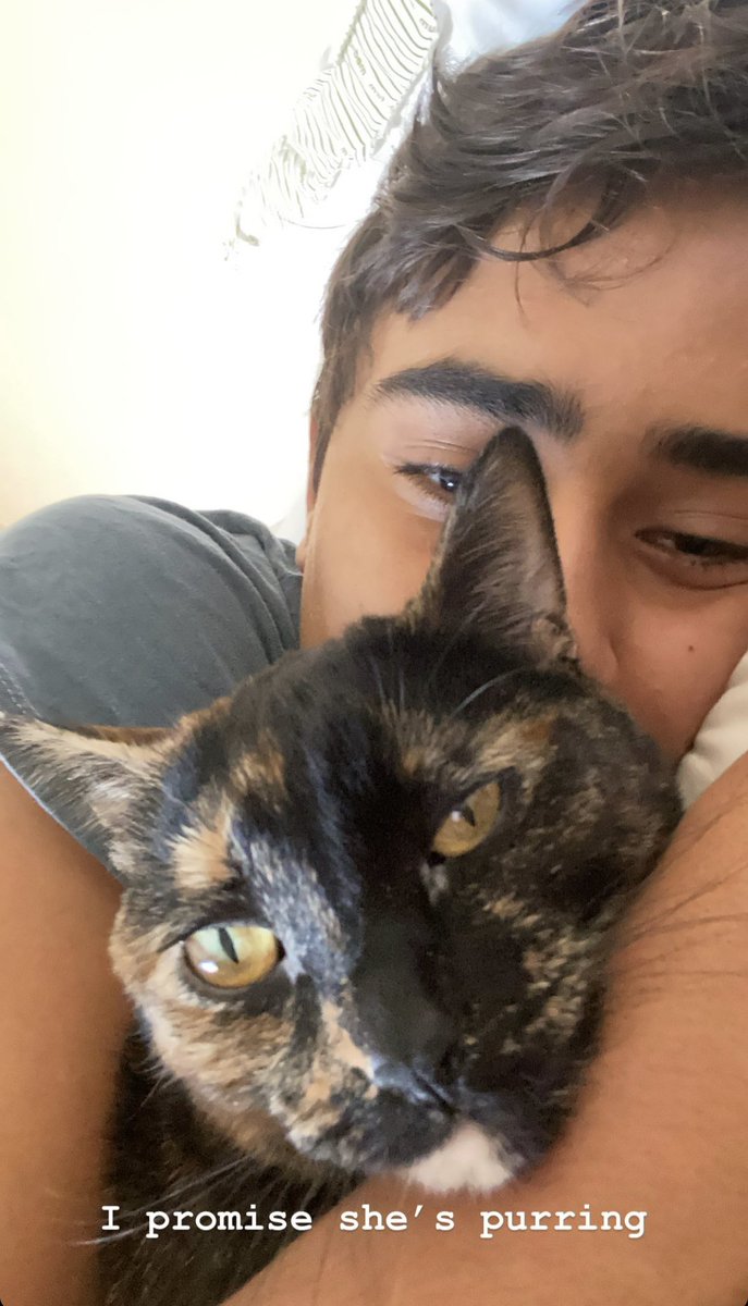 wolfxtwin's tweet photo. Busy cuddling a certain kitty — https://t.co/dXAa7GsrWC