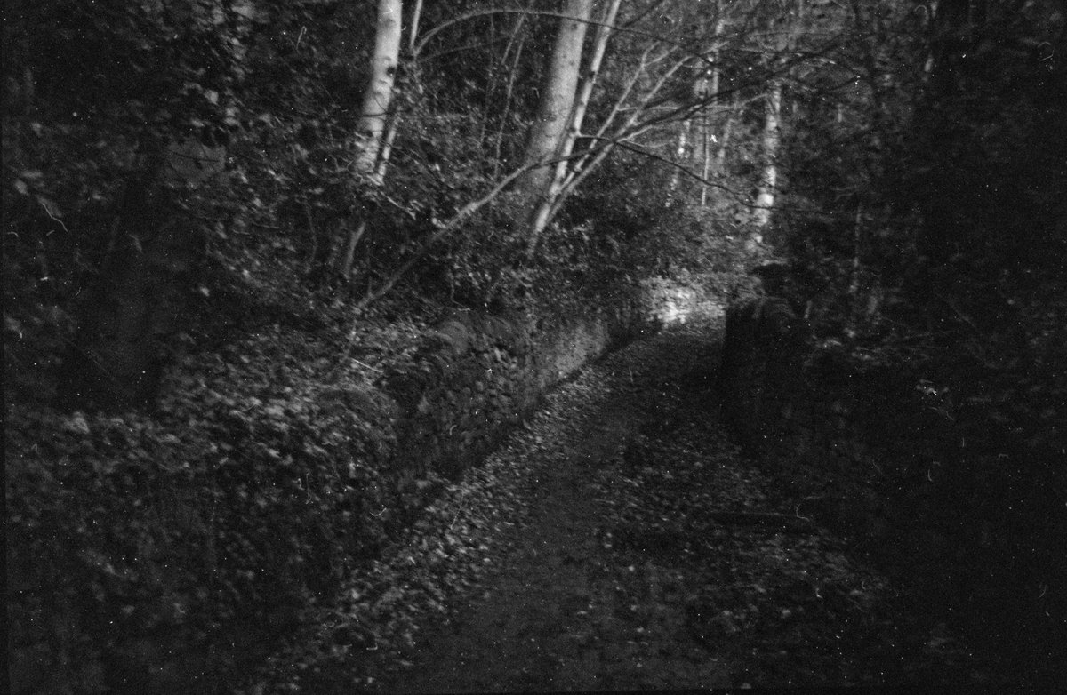 Rich_Roylance's tweet photo. The bend in the path
#landscapephotography #woods #woodland #believeinfilm #fomafilm #fomapan200 https://t.co/PGiFjxVMQK