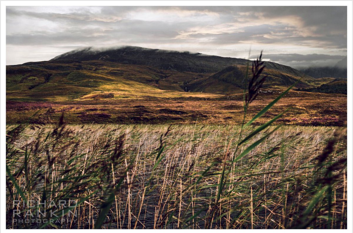 Lallybroch was remote, even for a Highland farm. No real roads led there, but the post still reached us by messenger, over the crags and the heather-clad slopes, a connection with the world outside. Dragonfly in Amber Ch. 31 @RRankinPhoto