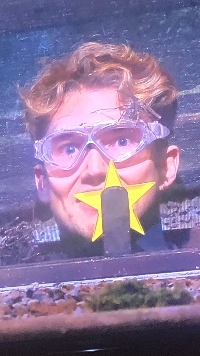 Iseeyou0_0too's tweet photo. When you’ve had your 4th breakdown of the day and someone asks if you’re ok  #imacelebrity #ImACeleb https://t.co/gy8LDMtItr