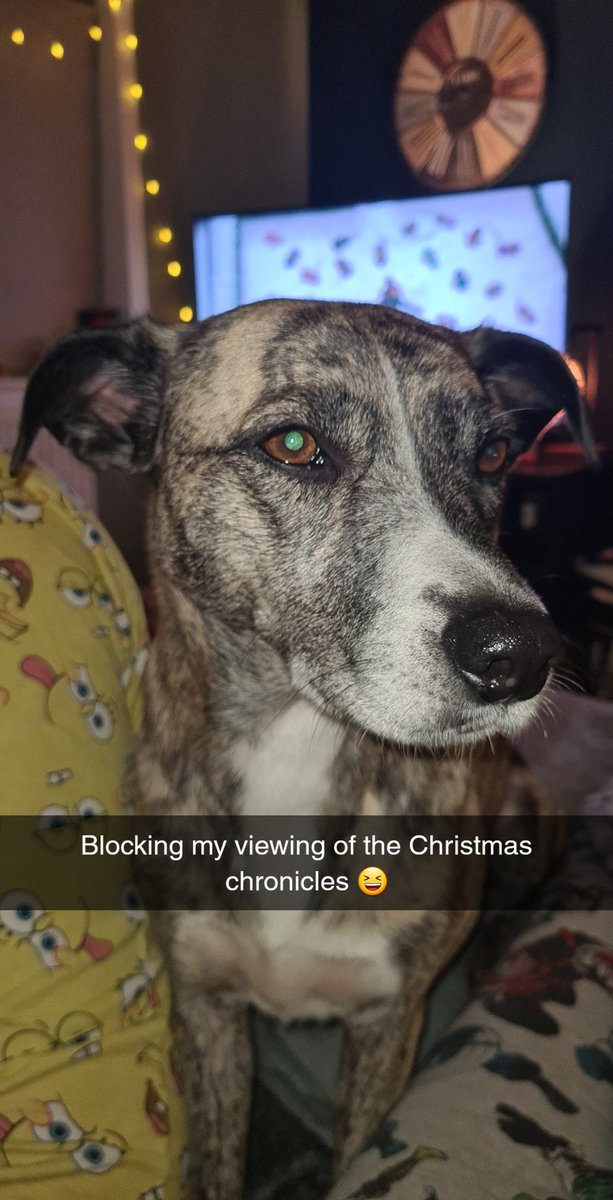 Trying to watch Christmas films 🤔