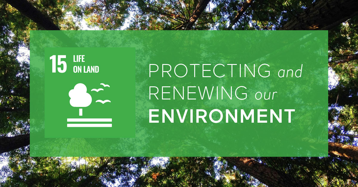 LogistecGroup's tweet photo. The LOGISTEC family is proud to offer solutions to solve this most important issue. @UN
#EfficientSolutionLabel #LOGISTECfamily #sustainablefuture #nextgeneration #Greatbuilders https://t.co/7trHSCF32b