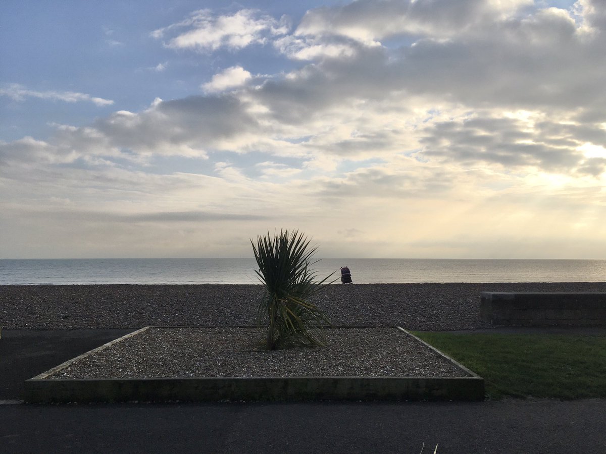 WorthingWave's tweet photo. A bit stumpy but here r NEW #WorthingPalms For record previous were not dead!🌴 #Worthing @Worthing_Herald #APalmForAPalm #timefortrees https://t.co/ktm5ClEUyb