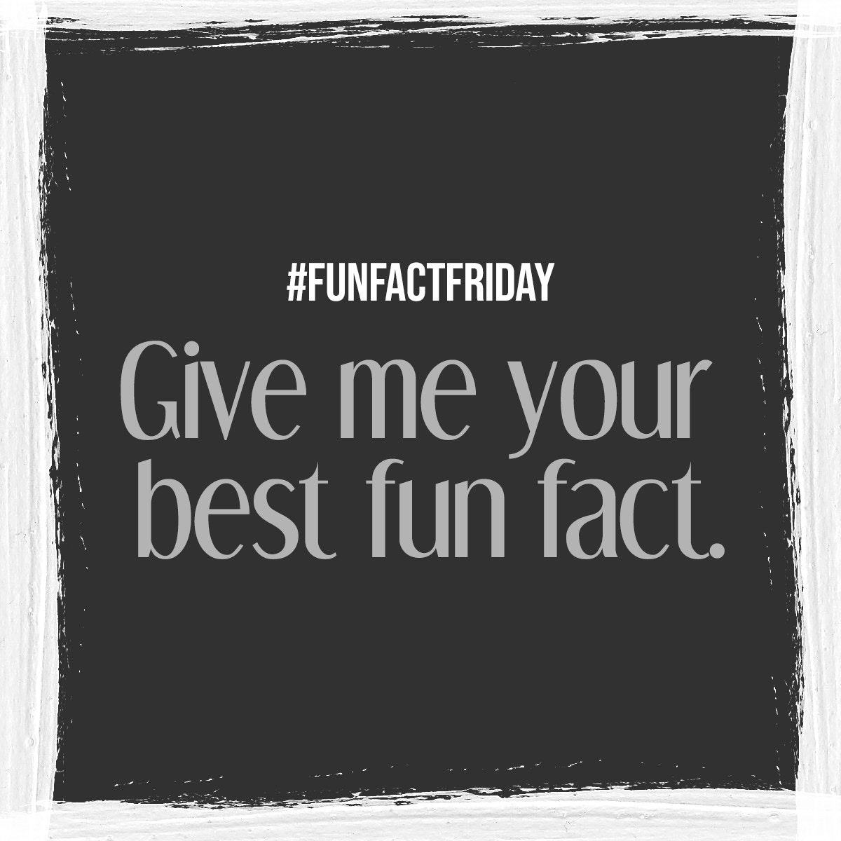 TinaDoerr1's tweet photo. I'll Go First! 

The 29th May is officially “Put a Pillow on Your Fridge Day”. Why??? https://t.co/bP8nkTb0aD