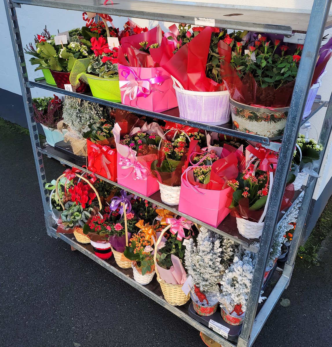 All Seasons Flowers tweet media