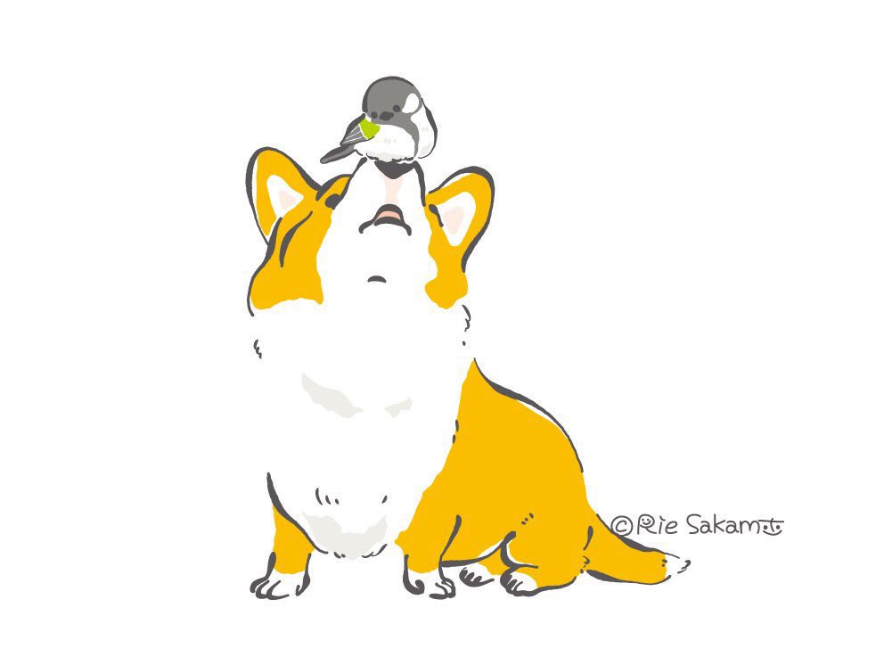 「#AnimalArtistsUnite 
Corgis and birds 」|サカモトリエ/イラストレーターのイラスト