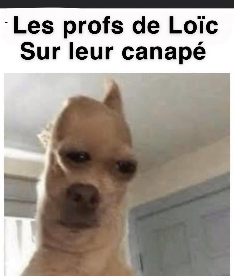 adriendep_'s tweet photo. La tête des profs de Loïc sur leur canapé #KohLanta #KohLantaLes4Terres https://t.co/n0kvNJECST
