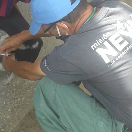 15 caninos fueron atendidos en nuestro Punto Nevado en la Base de Misiones 'Villas de Capreminfra' en el municipio Guacara. Todos recibieron consulta y desparasitación ♥️🐶😸♥️ #MisionNevado #Carabobo