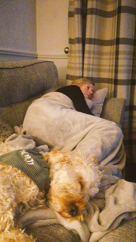 Tadhg17's tweet photo. Our little man isn't able for these late nights #latelatetoyshow #dreamingofacat https://t.co/MHFgjyKWBE