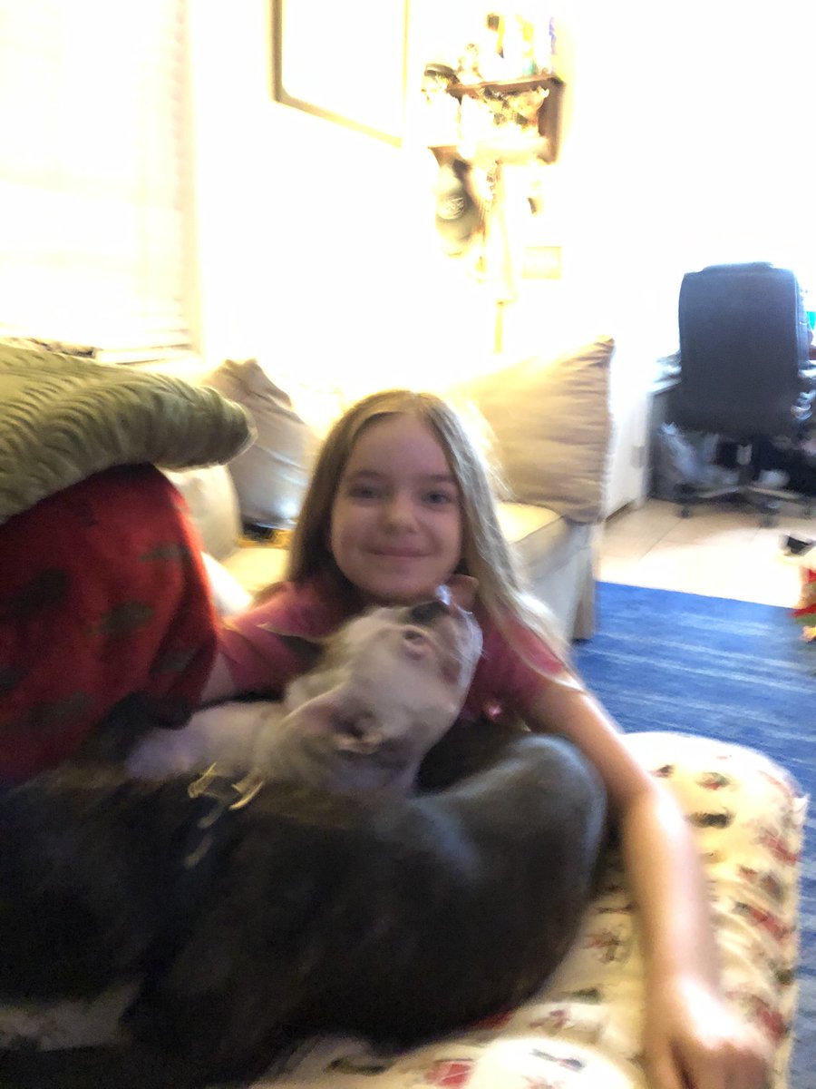 EDurliat's tweet photo. @Casey French Bulldog! https://t.co/VG9q6jDRd7