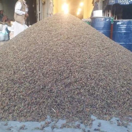 #صورة_ملف_شخصي_جديدة